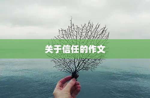 关于信任的作文