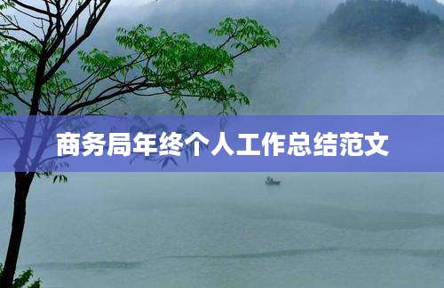 商务局年终个人工作总结范文
