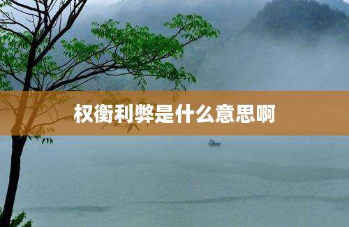 权衡利弊是什么意思啊
