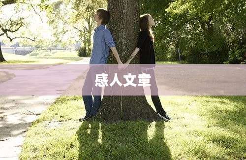 感人文章