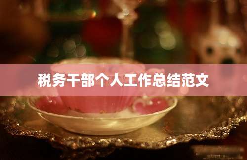 税务干部个人工作总结范文