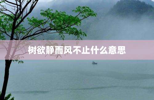 树欲静而风不止什么意思