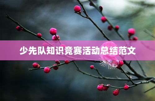 少先队知识竞赛活动总结范文