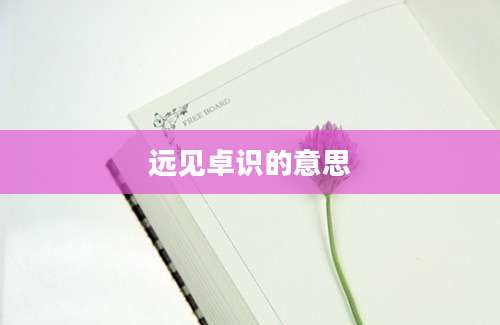 远见卓识的意思