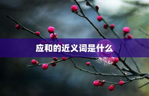 应和的近义词是什么