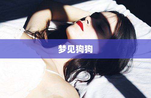 梦见狗狗