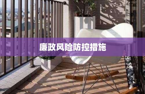 廉政风险防控措施