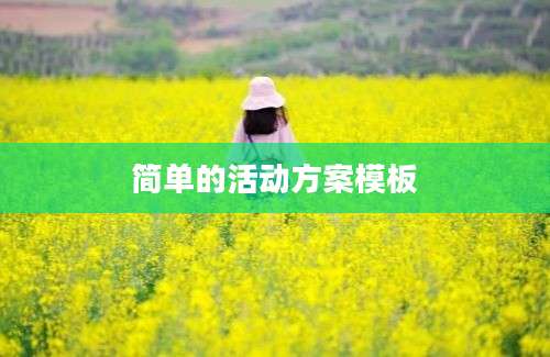 简单的活动方案模板