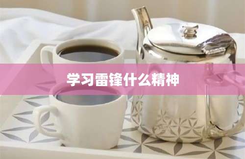 学习雷锋什么精神