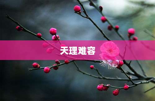 天理难容