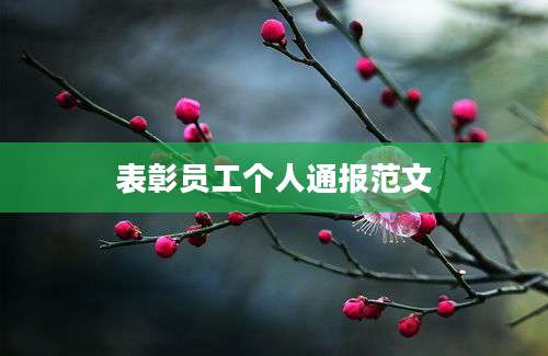 表彰员工个人通报范文