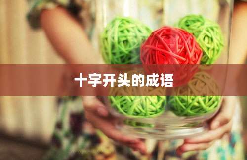 十字开头的成语