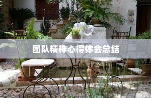 团队精神心得体会总结