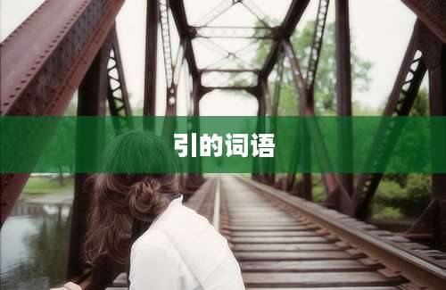 引的词语