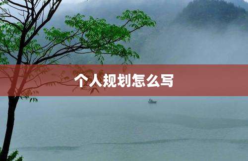 个人规划怎么写