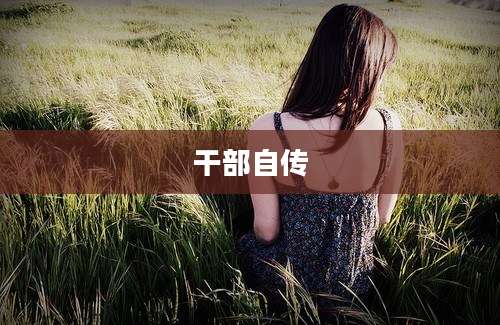 干部自传