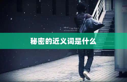 秘密的近义词是什么