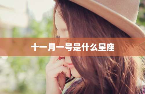 十一月一号是什么星座