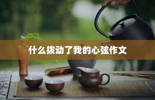 什么拨动了我的心弦作文