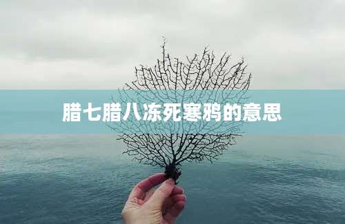 腊七腊八冻死寒鸦的意思