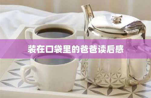 装在口袋里的爸爸读后感