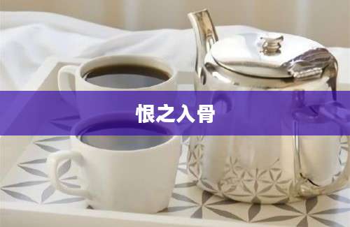 恨之入骨