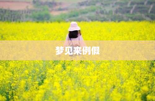 梦见来例假