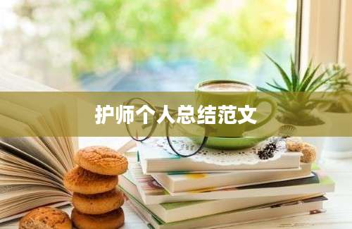 护师个人总结范文
