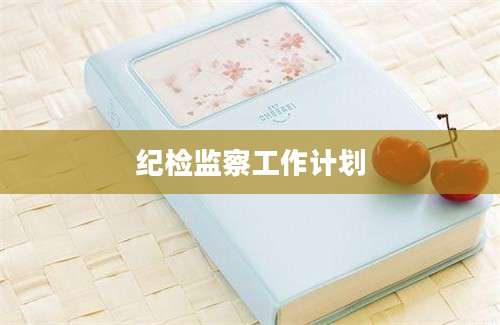 纪检监察工作计划