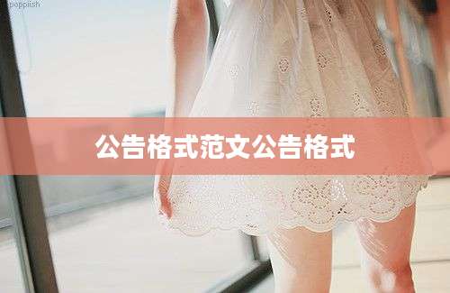 公告格式范文公告格式