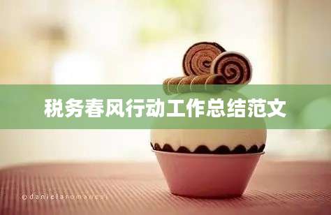税务春风行动工作总结范文