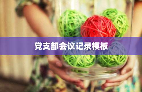 党支部会议记录模板