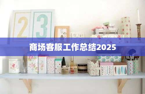商场客服工作总结2025