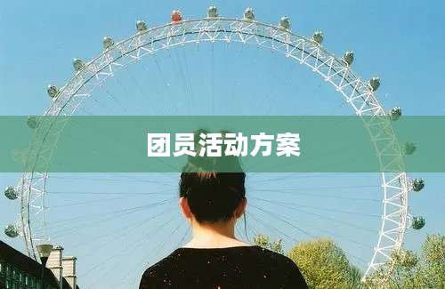 团员活动方案