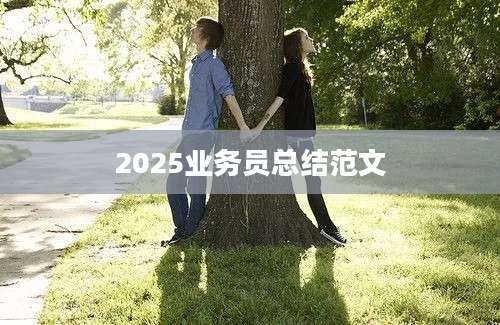 2025业务员总结范文