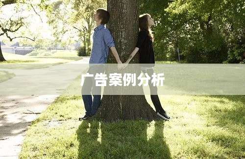 广告案例分析
