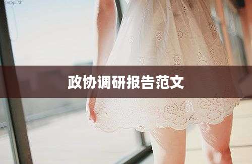 政协调研报告范文