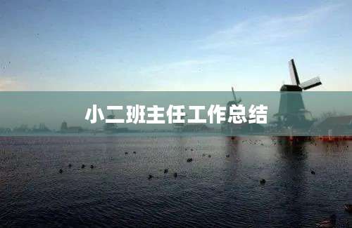 小二班主任工作总结