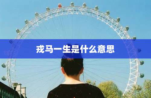 戎马一生是什么意思