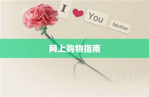 网上购物指南