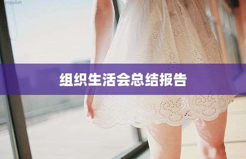 组织生活会总结报告