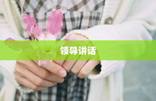 领导讲话