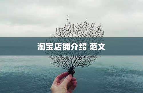 淘宝店铺介绍 范文