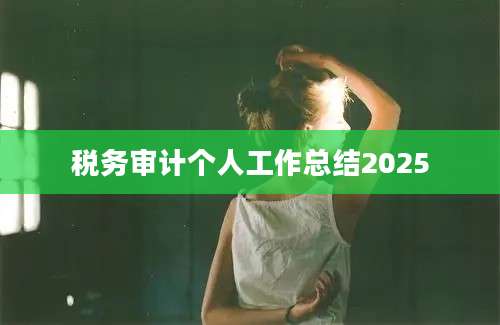 税务审计个人工作总结2025