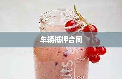车辆抵押合同