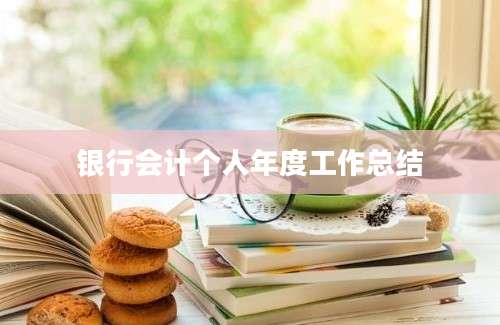 银行会计个人年度工作总结