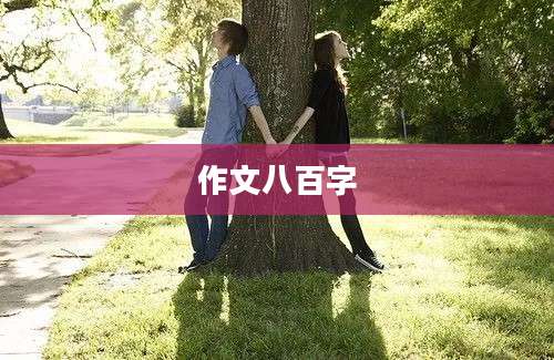 作文八百字