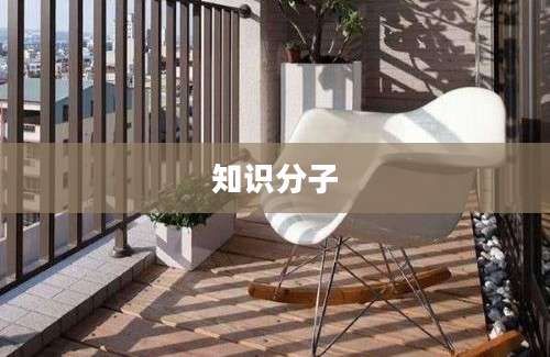 知识分子