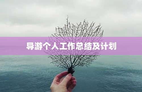 导游个人工作总结及计划
