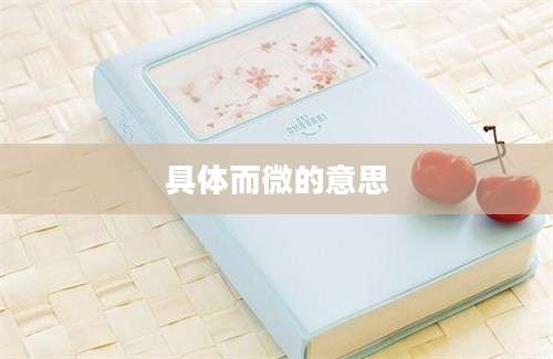 具体而微的意思